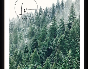 Snow Pine Trees photo, winter landscape photography, fog and pine trees picture, cabin wall decor, air bnb art, green pine trees with snow