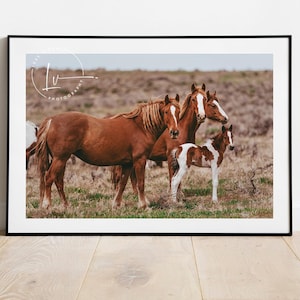 Wild horses photo, wild mustangs picture, group of horses, Idaho wild mustang picture, country cowboy art, Farmhouse decor