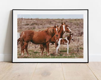 Wild horses photo, wild mustangs picture, group of horses, Idaho wild mustang picture, country cowboy art, Farmhouse decor