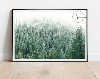 Snow Pine Trees photo, winter landscape photography, fog and pine trees picture, cabin wall decor, air bnb art, winter pine trees with snow