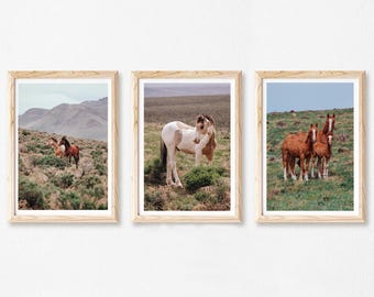 Wild horses wall art, three print set, wild horse photography, Idaho wild mustang picture, rustic farmhouse decor, animal and landscape art