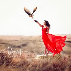 Owl art, whimsical photography art, bird of prey print poster, landscape animal fantasy fairy tale girl&#39;s room decor, wild owl picture