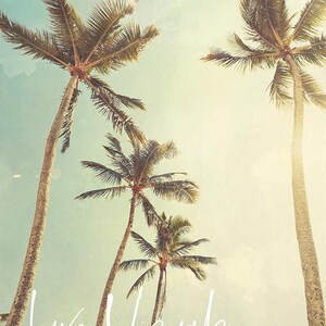 Palm tree photo, Hawaii palm trees picture, tropical cottage core art, housewarming gift, palm tree photography, tropical art, palm tree art