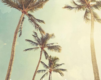 Palm tree photo, Hawaii palm trees picture, tropical cottage core art, housewarming gift, palm tree photography, tropical art, palm tree art
