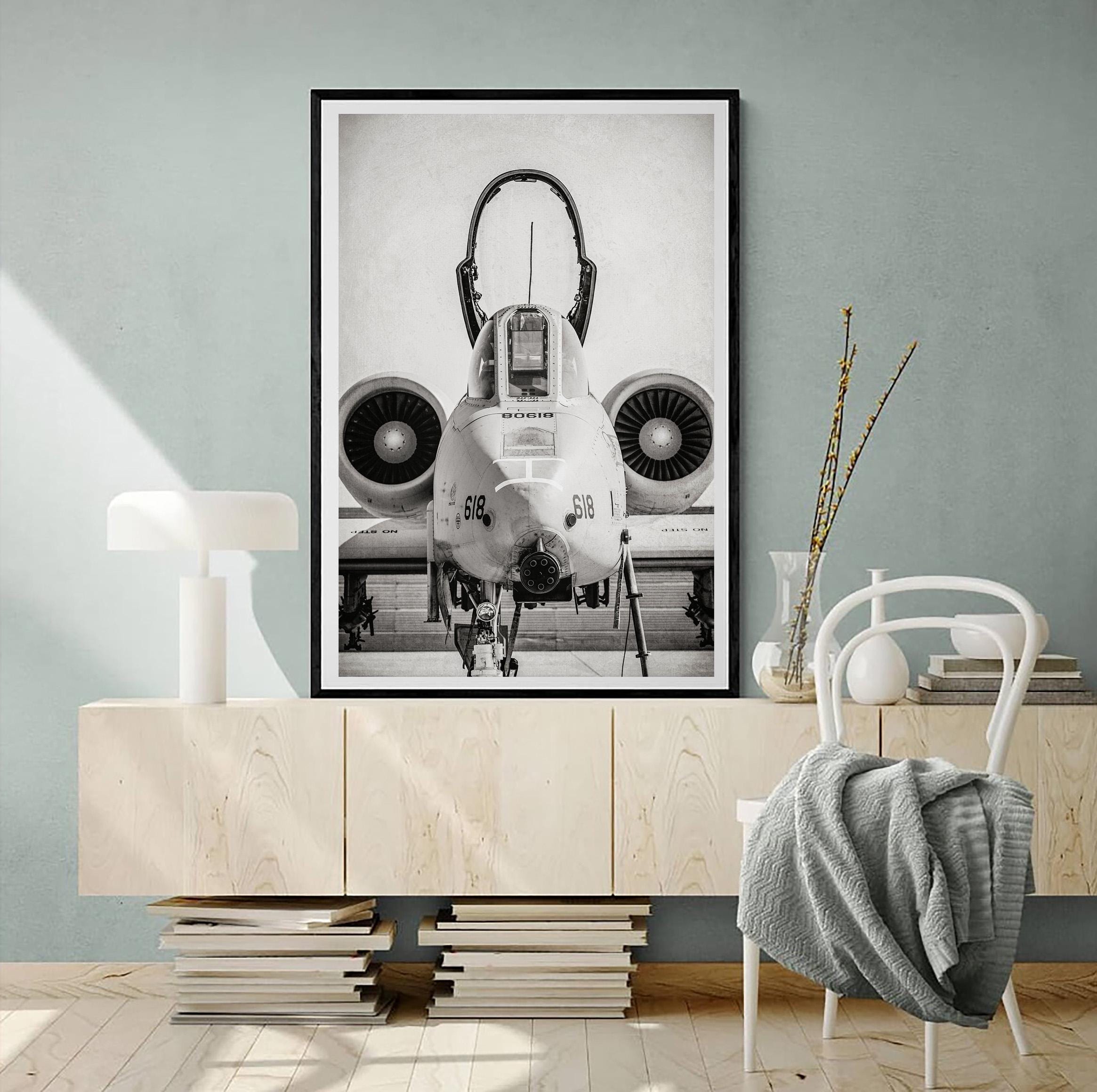 A10 イボイノシシの絵、A10 イボイノシシのポスター、白黒写真、愛国的