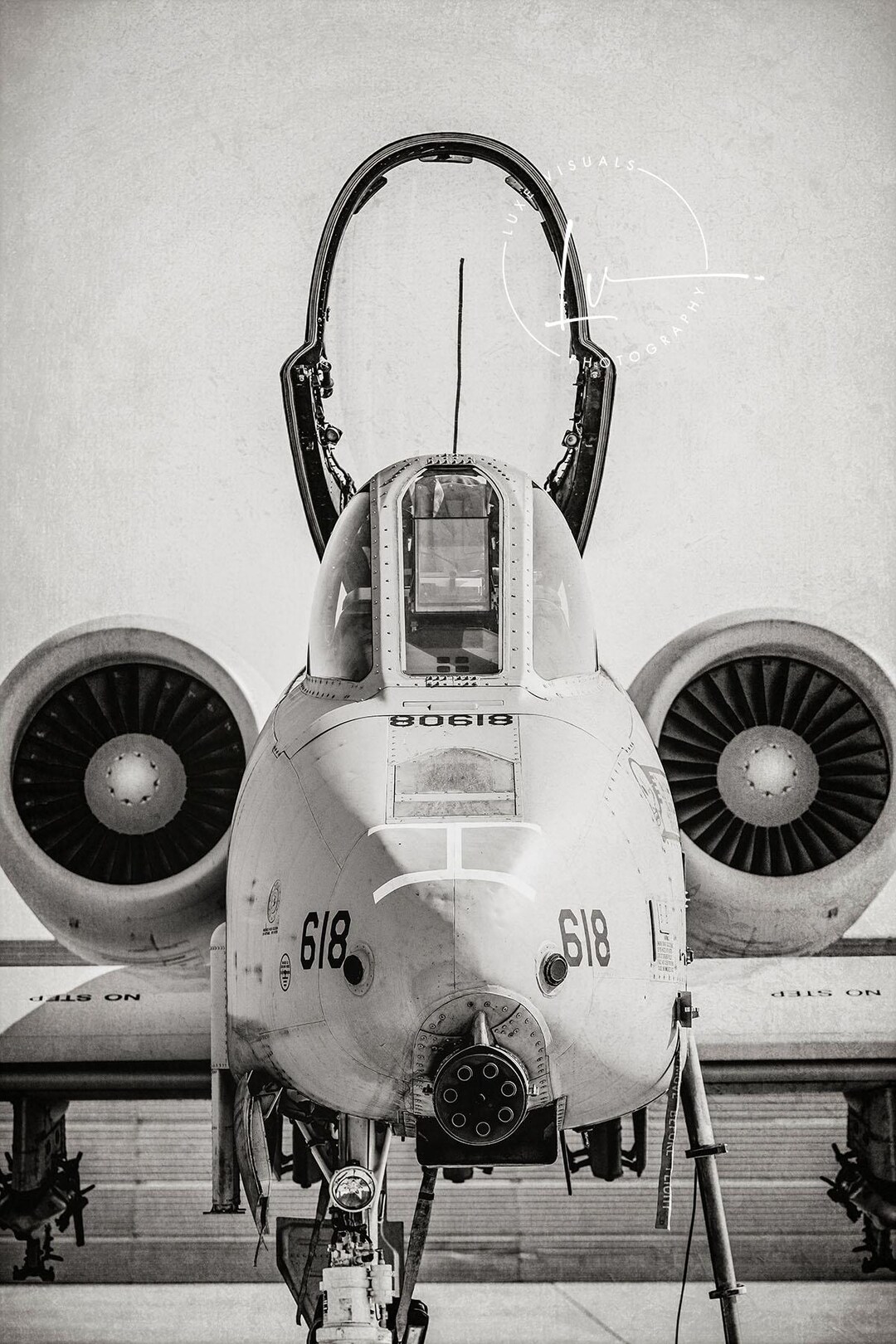 A10 イボイノシシの絵、A10 イボイノシシのポスター、白黒写真、愛国的