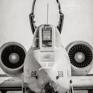 A10 Warthog picture, A10 Warthog poster, black and white photography, patriotic art, den and office decor, gifts for veteran, Military art
