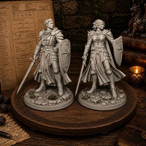 May include: Two unpainted gray resin tabletop gaming miniatures of armored warriors standing on circular stone-textured bases. Each figure wears detailed plate armor, a flowing cloak, and carries a long sword and a shield with a star emblem.