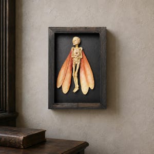 May include: A framed wall art piece featuring a beige, skeletal humanoid figure with four large, orange-tinted, leaf-like wings attached to its back. The figure is centred against a solid black background within a dark, rustic wooden frame.