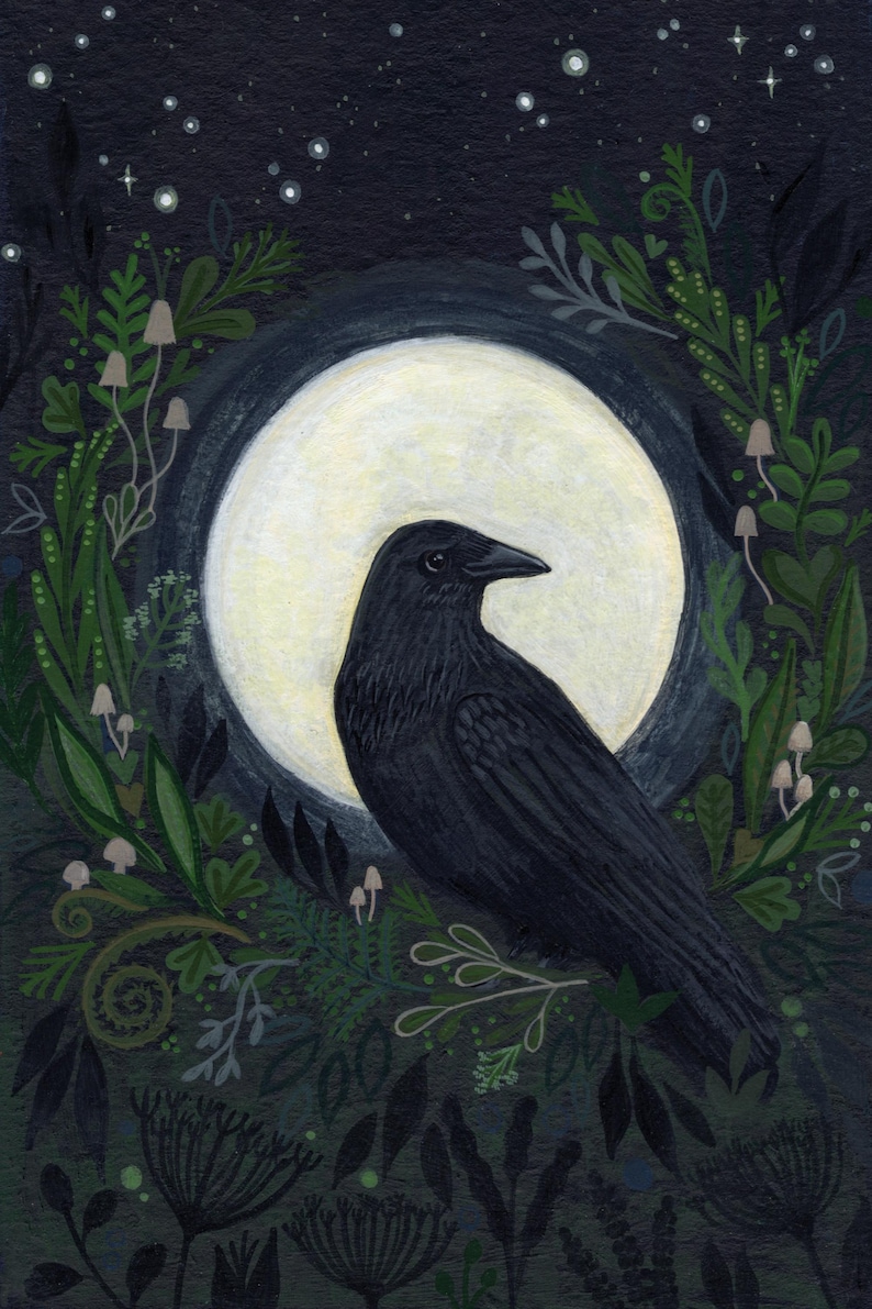 Peut inclure: Illustration sombre d'un corbeau noir devant une pleine lune. Le corbeau est entour&eacute; de feuillage vert, de champignons et d'un ciel &eacute;toil&eacute;. L'&oelig;uvre a un th&egrave;me mystique inspir&eacute; de la nature.