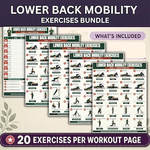 May include: A digital exercise guide bundle titled Lower Back Mobility Exercises, featuring five pages of illustrated physical therapy movements. Each page displays numbered diagrams of a person performing stretches and core stability exercises.
