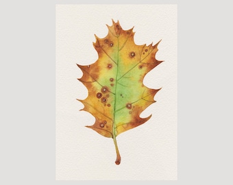 Autumn Oak Leaf Watercolor Print • Botanical Wall Art Illustration (W36)