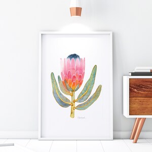 Pink King Protea Wall Art Print, Watercolor Floral Illustration, Botanical Home Decor (W14)