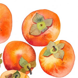 Kaki Giclée Kunstdruck, Kaki Aquarell Malerei, Orangen Früchte Poster, Küche Wanddekor, Botanische Wandkunst in Archivqualität #W10