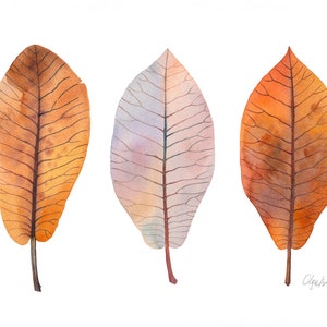 Stampa artistica di foglie di magnolia, pittura ad acquerello botanico autunnale, poster artistico del fogliame autunnale #W11
