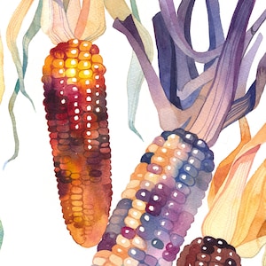 Indiase maïs Giclee Art Print, decoratieve maïskolf aquarel botanisch schilderij, plantaardige illustratie, keukenmuurposter #W01