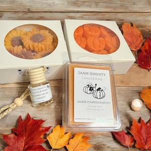 Pode incluir: Duas caixas quadradas brancas com janelas circulares contendo ceras aromáticas em forma de girassol e abóbora, um pequeno frasco difusor de vidro rotulado Pumpkin Pecan Delight e uma embalagem plástica de ceras de soja Amber Pumpkin Harvest.