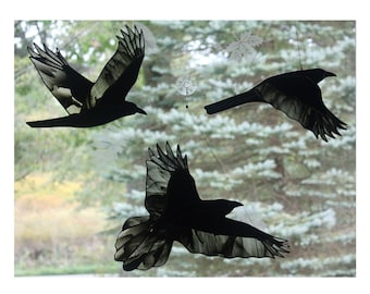 Stained Glass Raven Set of 3, Raven Art, Gothic, Crow, Glass Art, Wildlife Art, Bird Lovers Gift