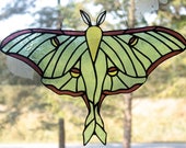 Stained Glass Luna Moth, Stained Glass Moth, Wildlife Art, Stained Glass Window Panel, Glass Art, Wildlife Art, Gifts for Her