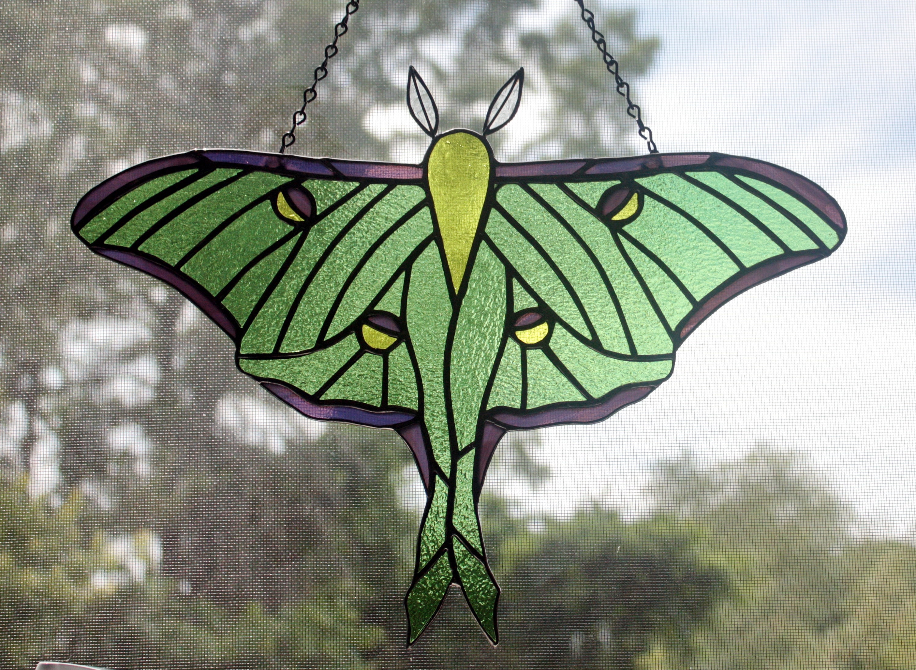 Little Green Moth Stained Glass // Moth Suncatcher // Moth Glass Art