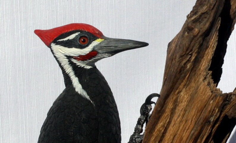 Pileated Woodpecker Wood Carving Hand Carved Art Sculpture | Etsy