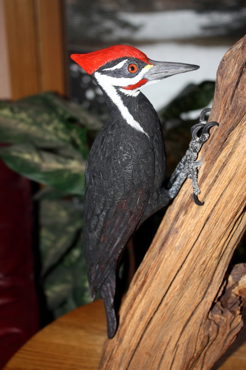 Pileated Woodpecker Wood Carving Hand Carved Art Sculpture Etsy