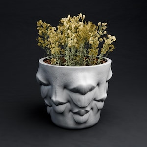 Puede incluir: Una maceta cilíndrica blanca con una superficie texturizada que presenta múltiples labios humanos esculpidos en relieve alrededor del exterior. La maceta está llena de un grupo de pequeñas plantas de flores amarillo claro con tallos verdes finos.