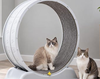 Cat Exercise Wheel, 80 cm Cat Treadmill, Removable Scratching Mat, Cat Activity Wheel