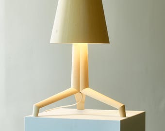 Hand-made, wrought wood table lamp
