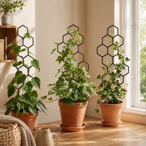 May include: Three black metal plant trellises with a geometric honeycomb pattern, each supporting a green climbing plant in a terracotta pot. The trellises are tall and narrow, providing vertical structure for the foliage to grow upwards.
