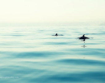 Ocean Photograph, Dolphins, Beach House Photograph, Sea Blue Azure Calm Summer, Large Photograph, photo