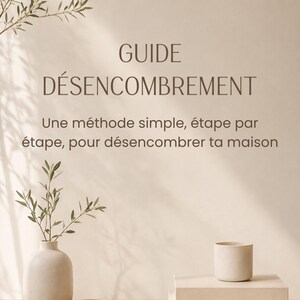 Peut inclure: Un guide numérique beige intitulé GUIDE DÉSENCOMBREMENT avec le sous-titre Une méthode simple, étape par étape, pour désencombrer ta maison. L'image présente un vase clair avec une plante verte, un petit bol et une tasse sur des livres.