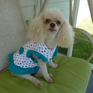 Dog Clothes, Puppy Clothes in a Multicolor Polk-a-doted Motif with Ruffle and Butterfly Sleeves