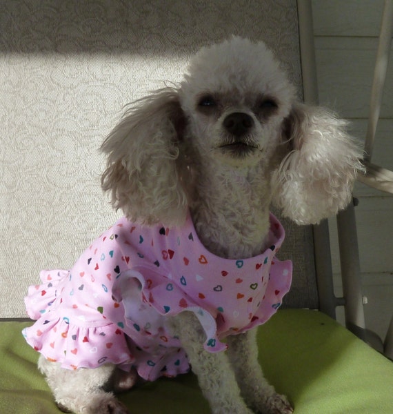 i feel pretty dog dress