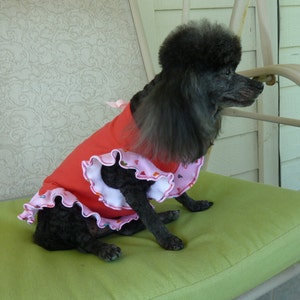 Dog Clothes, Puppy Clothes, an  Adorable Female Puppy Dress in Red with Tiny Hearts and Pretty Ruffles, Dog Clothes.
