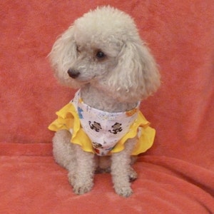 Dog Clothes, Puppy Dress in a Zoo Animal Motif with Yellow Butterfly Sleeves and Ruffle.