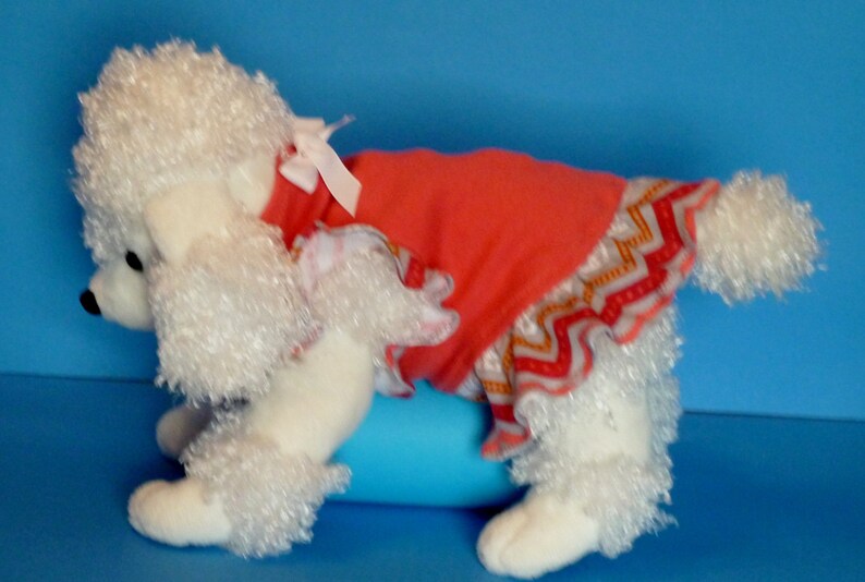 Dog Clothes, Puppy Dress, Pet Outfit in a gorgeous Tangerine with a graphic motif and a white bow. image 2