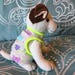 see more listings in the Puppy Clothes section