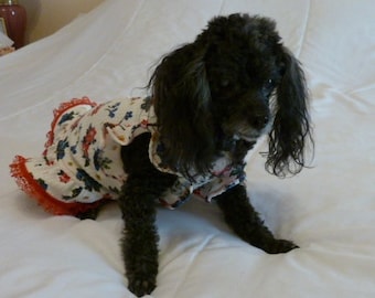 Puppy Dress, Dog Clothes, in a Floral Print on a Tan Background with a frilly Ruffle with Red Lace and a cute Red bow.