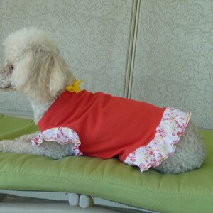 Dog Clothes, Puppy Dress in Bright Red with Butterfly Sleeves and a frilly ruffle in a floral print of Red and Yellow.