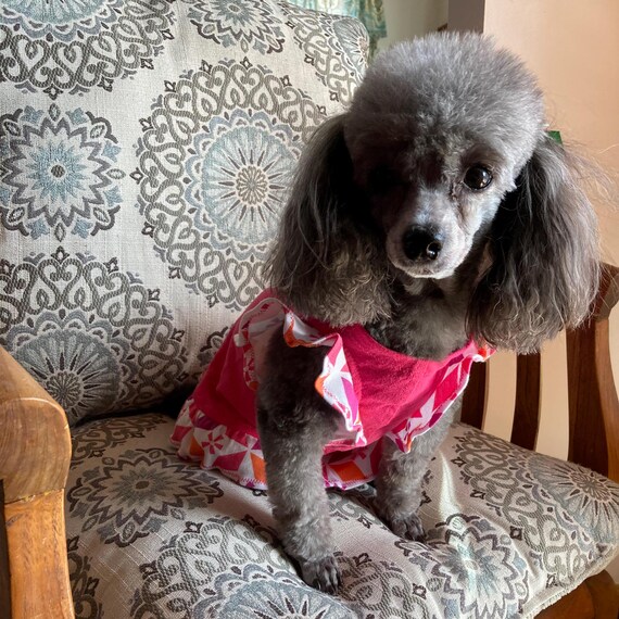 Hot Pink Puppy Dress: Graphic Ruffle, Butterfly Sleeves - Etsy Hot Pink Puppy Dress: Graphic Ruffle, Butterfly Sleeves - Etsy
