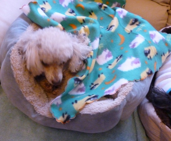 Small blanket for puppy new arrivals