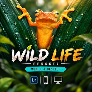 Pode incluir: Uma rã laranja brilhante agarra-se a grandes folhas verde-escuras cobertas de gotas de água. Abaixo da rã, o texto diz WILD LIFE PRESETS, MOBILE & DESKTOP, com ícones para Lightroom, um smartphone e um monitor de computador na base.