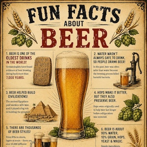 Op de afbeelding: Een poster in vintage-stijl met de titel FUN FACTS ABOUT BEER en een centraal glas goudkleurig bier. Het bevat negen genummerde secties met illustraties van oude tabletten, piramides, hop, bierpullen, een vat en een hart, plus beschrijvende tekst.