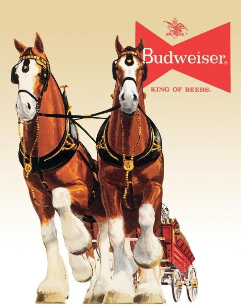 Budweiser Artwork - Etsy