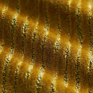 Gold Velvet Upholstery Fabric for Furniture - Modern Dark Gold Velvet Stripe Fabric - Contemporary Mustard Yellow Velvet Fabric - SP 529