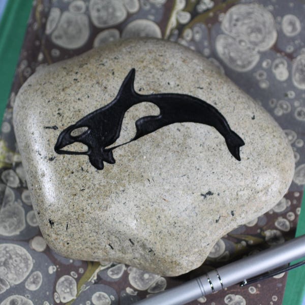 Orca engraved stone