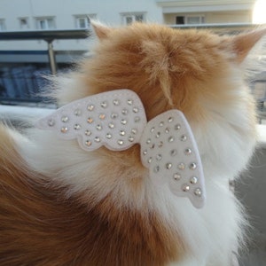 Cat Collar with Rhinestone Angel Wings/ Glittery Cat Angel Costume/ Breakaway Safety/ Wedding/ Kitten, Cat, Small Dog Sizes