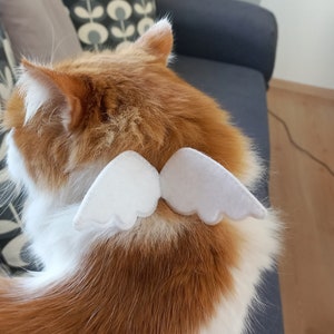 Angel Cat Collar/ Angel Wing Cat Costume-''White+Color Option''-Wedding/ Breakaway Cat Collar/ Birthday/ Kitten, Cat, Small Dog Collar Sizes