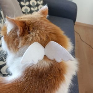Angel Cat Collar/ Angel Wing Cat Costume-&#39;&#39;White+Color Option&#39;&#39;-Wedding/ Breakaway Cat Collar/ Birthday/ Kitten, Cat, Small Dog Collar Sizes